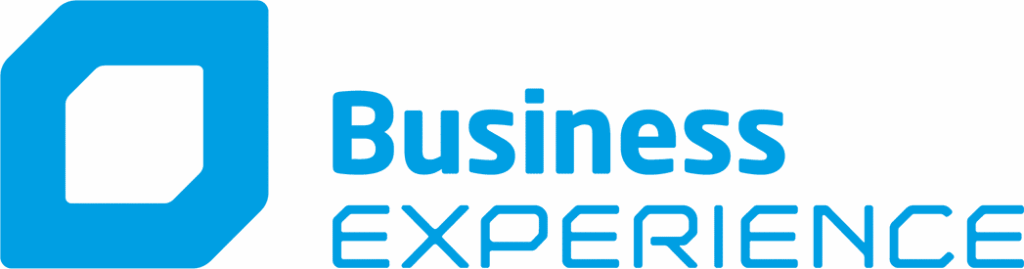 BUSINESS EXPERIENCE